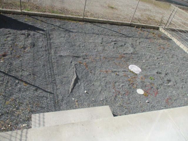 エコハウスの庭