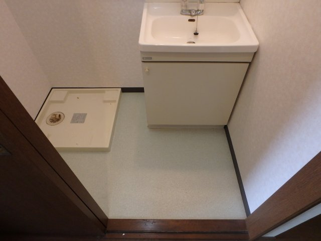 メゾンドSUの洗面所