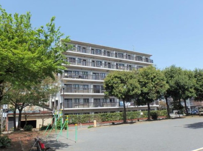 【周辺】 | パンニャマンション