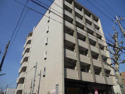 ステラ・ランド