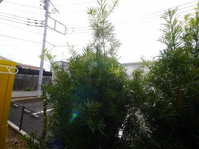 【展望】 | トラストヒルズ本鵠沼 | 室内写真は別室、同タイプの写真です。