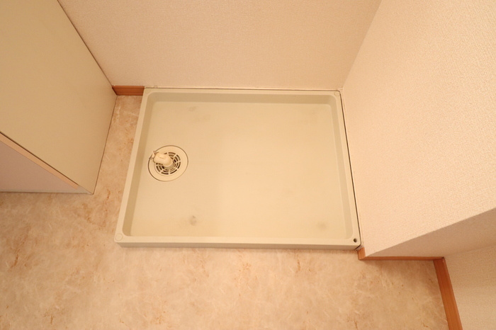 熊本市中央区十禅寺１丁目のアパートの洗面所