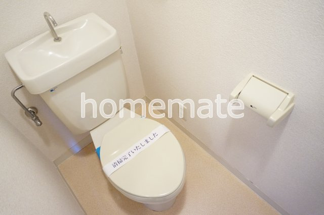  メゾン・ド・シェフ・リウー のトイレ