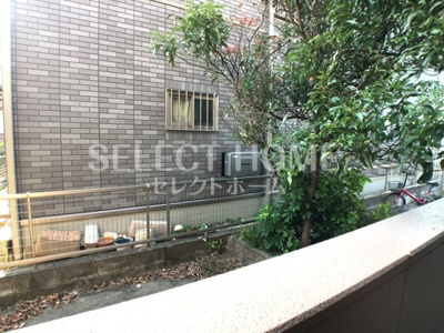 【展望】 | ポロメリア