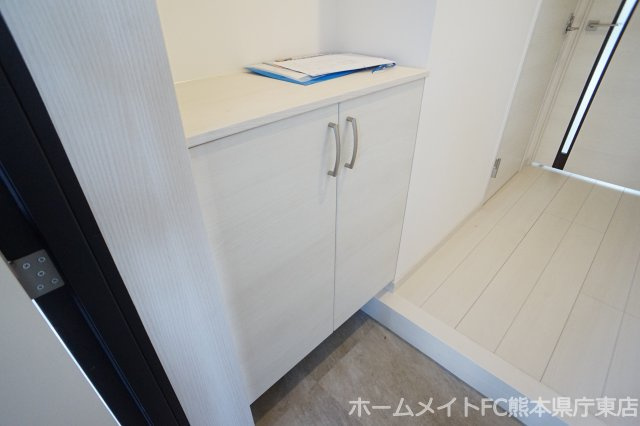 熊本市南区田迎３丁目の賃貸マンションの玄関