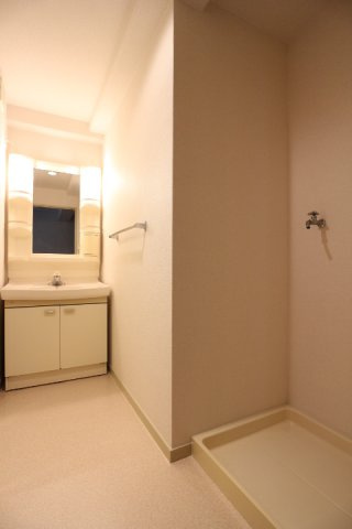 スカラーズハウスの洗面所|スカラーズハウス