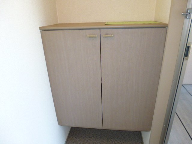 ドミール新田の内装|シューズボックス