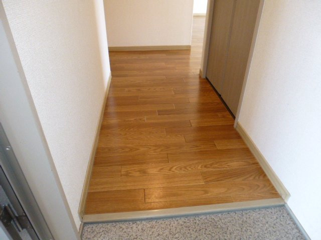 ドミール新田の玄関