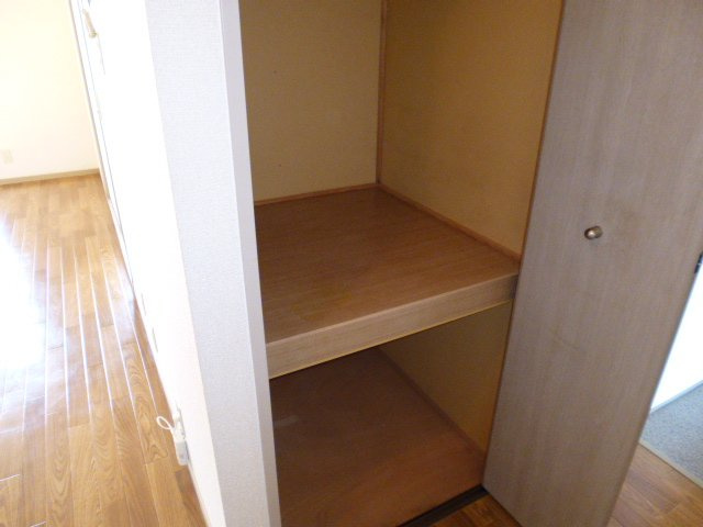 ドミール新田の収納|廊下収納