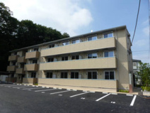 メディオTMの画像