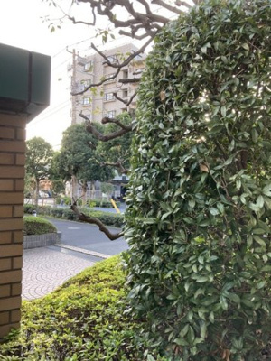 【展望】 | 第６松屋コーポ | 景色