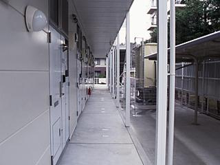 【エントランス】 | 桜通り