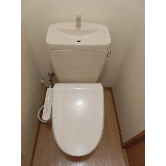 グランディールⅠのトイレ