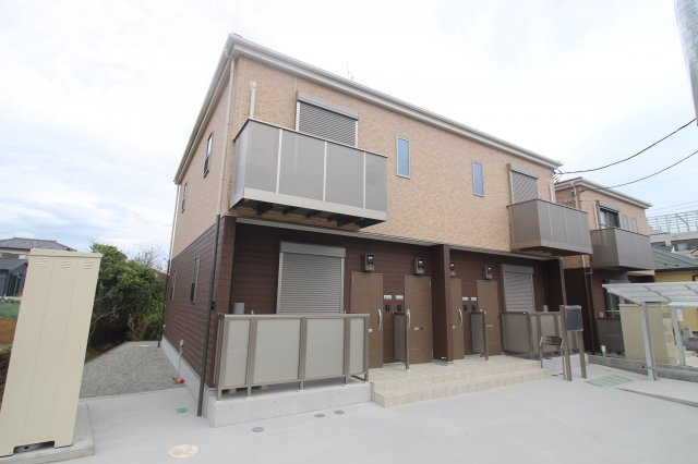 アムール　アンバー