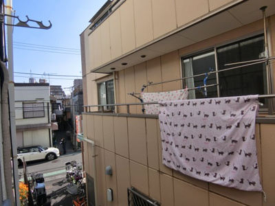 【展望】 | ヴィシェットお花茶屋