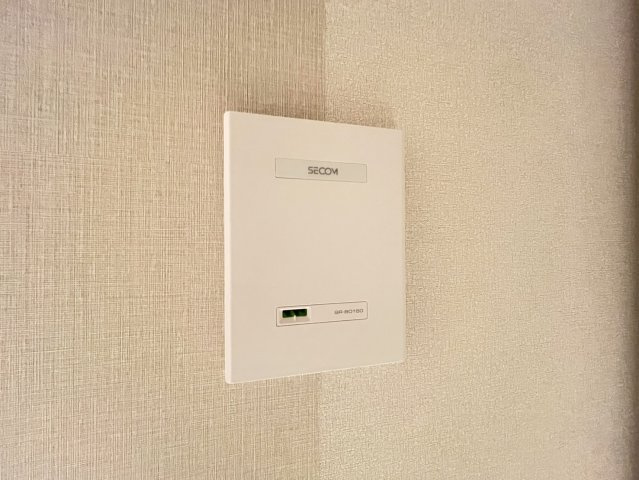 PHOENIX Clove Tomoiのセキュリティ