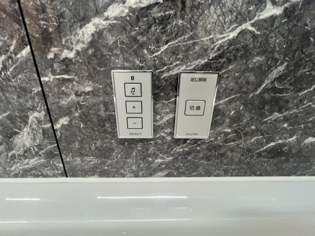 PHOENIX Clove Tomoiのその他