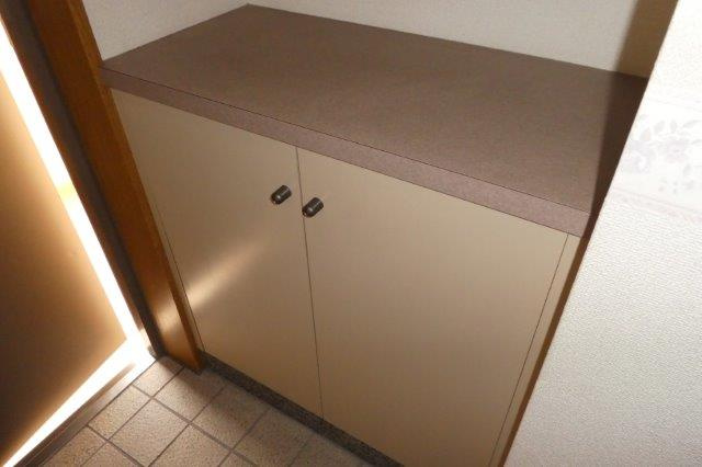 グランヴェール21の内装|シューズボックス