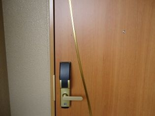  | アルストロメリア