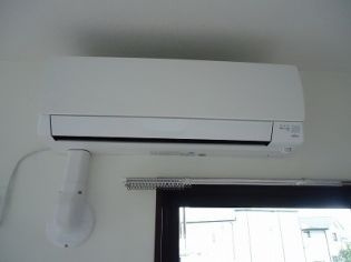  | アルストロメリア