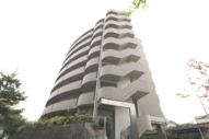 GranPino柴原の画像