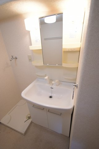 ルプリーズ天王寺の洗面所