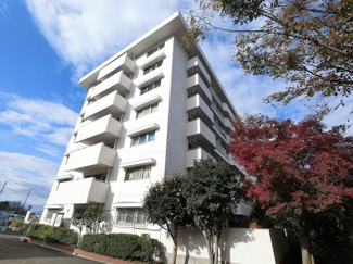 【外観】 | 総戸数242戸、昭和46年7月築のマンションです。
専有面積74.44平米、3LDKのリフォームお部屋となります。