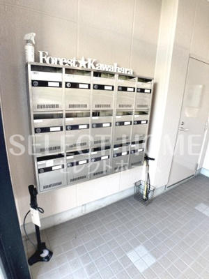 【その他共用部分】 | フォレストカワハラ | 明るい洋室です