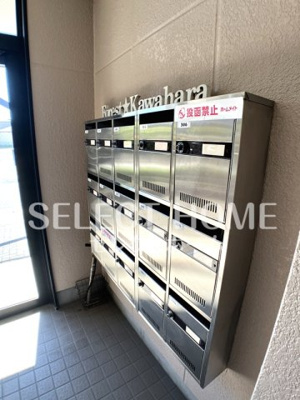  | フォレストカワハラ