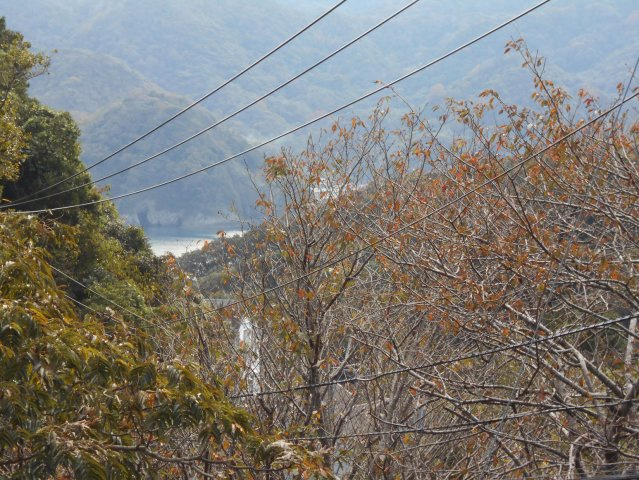 【展望】 | 南伊豆町子浦 売土地 ET02933 | 南伊豆町子浦　眺望