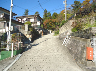 【前面道路含む現地写真】
