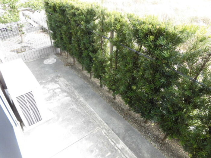 トータスモア参番館【キャッシュバック対象】の庭