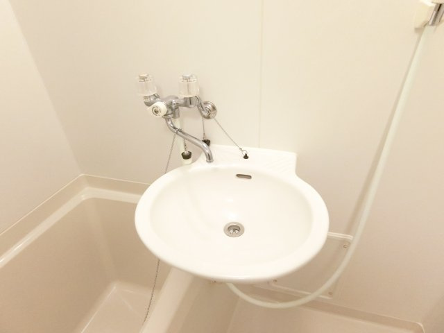 レオネクストフラワーヒルⅢの洗面所