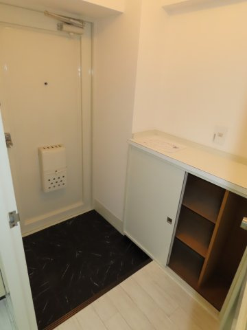 大阪市淀川区野中南１丁目の賃貸マンションの玄関