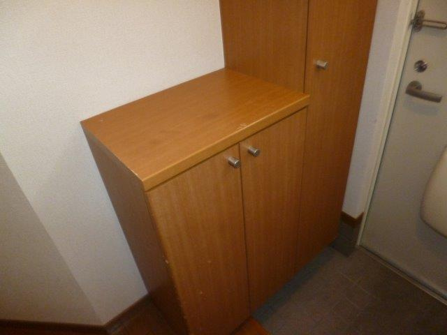 ファミールＦＵＪＩ　Ｂの収納|階段下収納