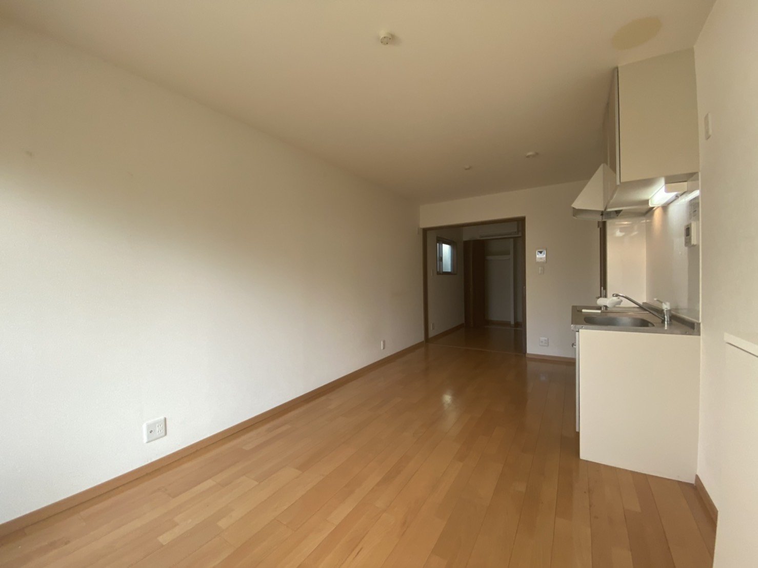 YSmaisonCAMELIA