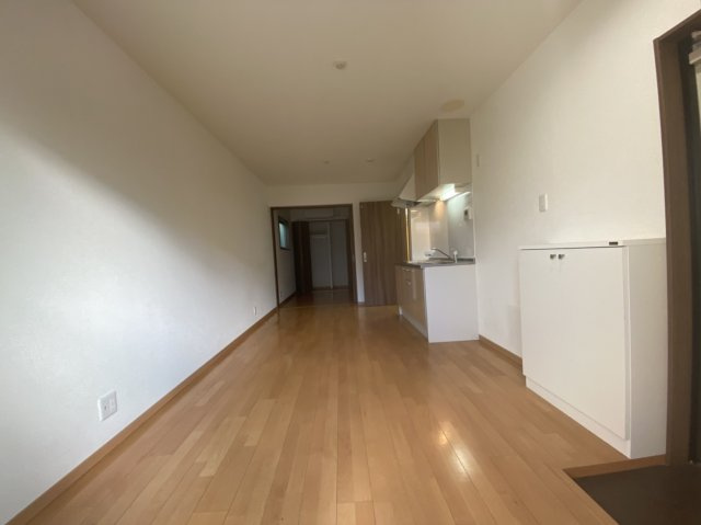 YSmaisonCAMELIA