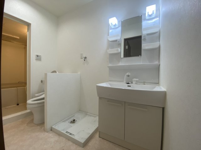 YSmaisonCAMELIAの洗面所