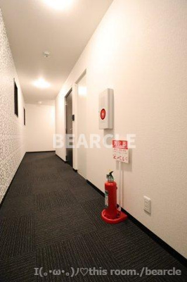 【ロビー】 | アパートメント二条城 | ゆとりのあるロビーです
