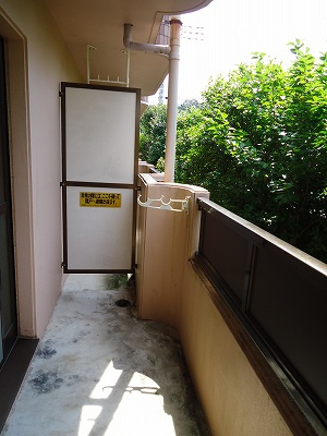  | グレイス森井