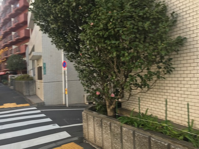 マートルコート中目黒のエントランス