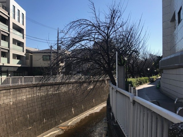 マートルコート中目黒の展望