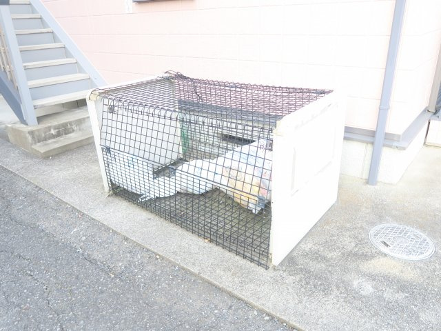 リバーヴィラのその他共用部分