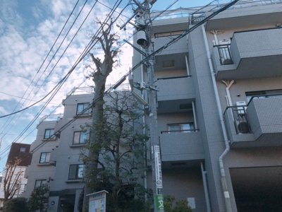 【外観】 | 東急ドエルアルス池尻　