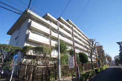 【外観】 | 葛飾ビューハイツ | 外観北西側より撮影（2020年11月）