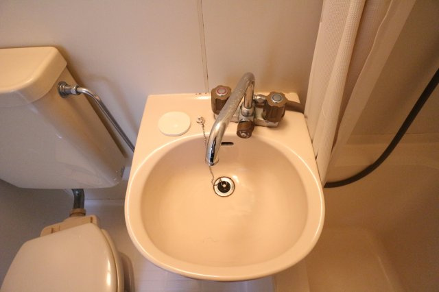 フェリックス福田の洗面所