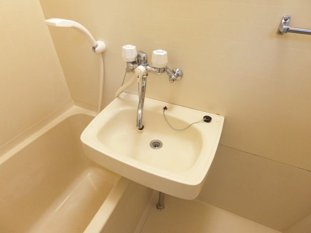 ベルメゾン一須賀Ⅱ号館の洗面所