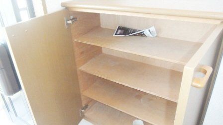 グランドールⅡの玄関|下駄箱付き