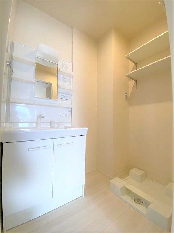 プレザントハウスM8の洗面所