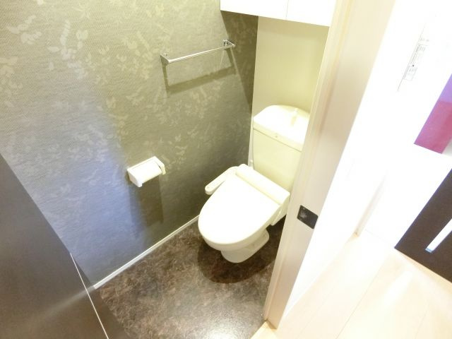 サウスメゾンジャスミンのトイレ